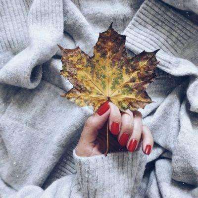 聚势出海，链动全球，中国新质制...